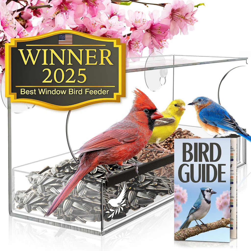 Window Bird Feeder by Nature's Hangout - No Assembly, Strong Suction Cups