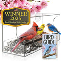 Window Bird Feeder by Nature's Hangout - No Assembly, Strong Suction Cups