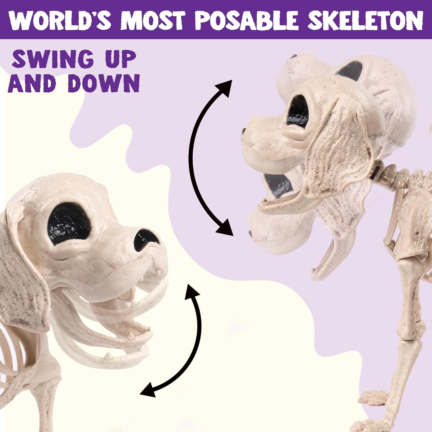 Posable Halloween Dog Skeleton Full Body Posable Joints Realistic Skeleton Puppy with Movable Joints for Halloween