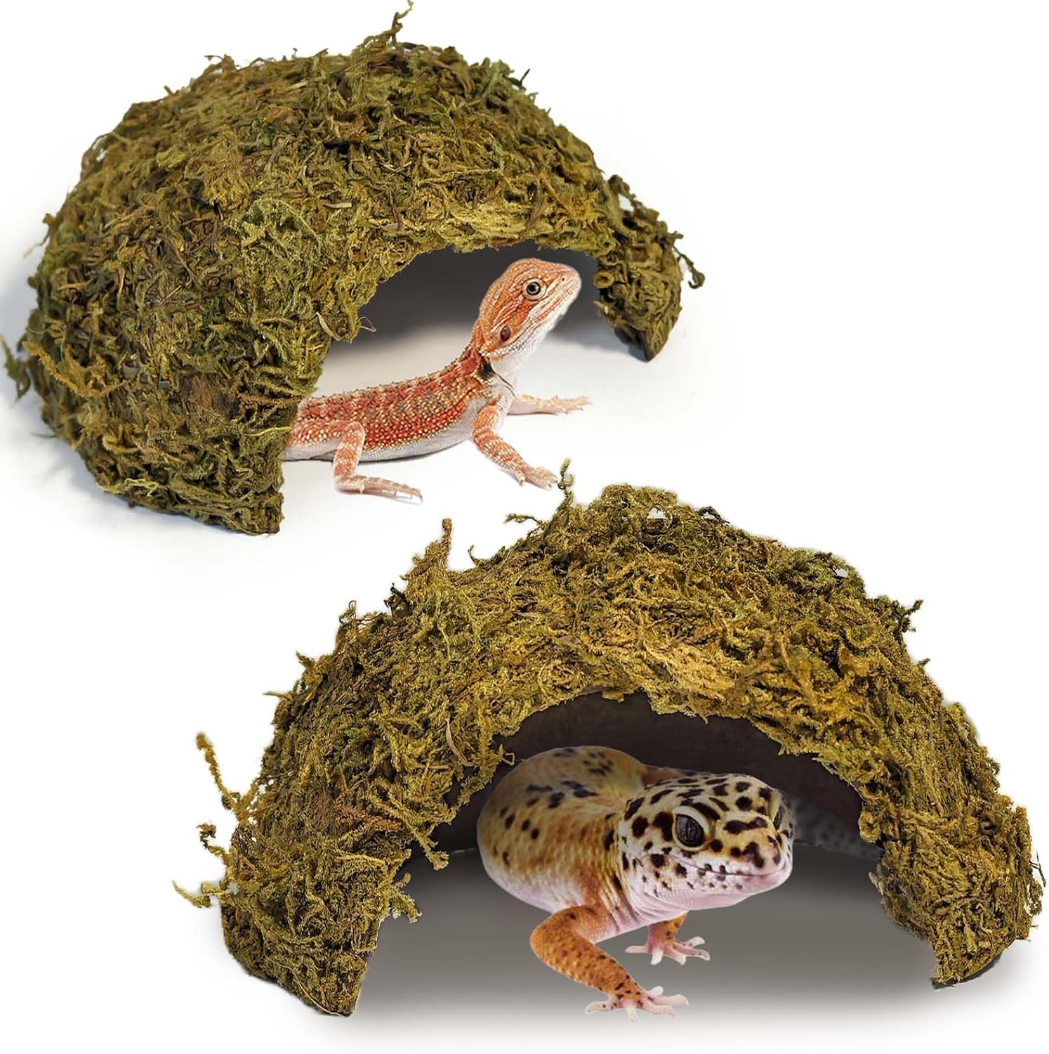 2Pcs Leopard Gecko Hide, Coconut Reptile Hides Cave, Snake Hideout Mossy Caves Climbing Hide Reptile Tank Decor for