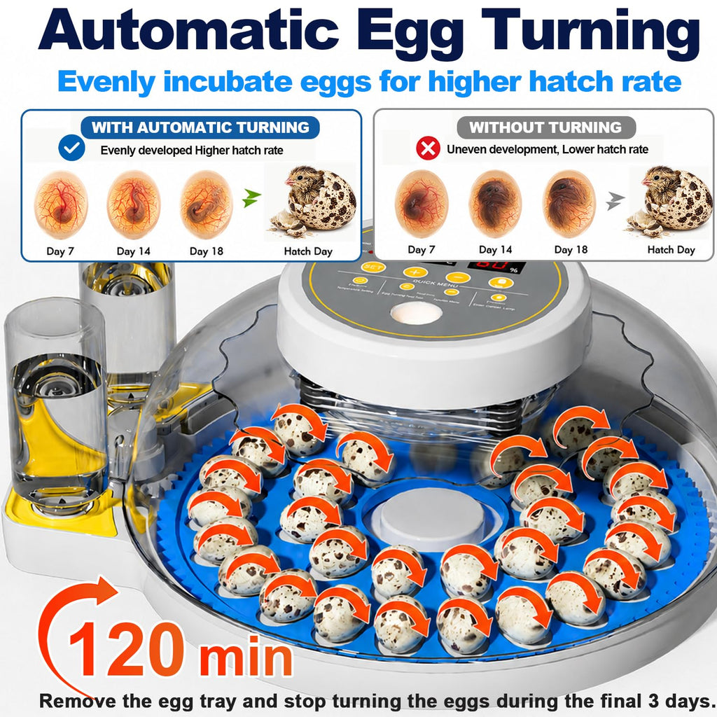 32 Quail Egg Incubator for Hatching Eggs, Dual Power Supply, Automatic Egg Turner, Humidity & Temperature Monitor