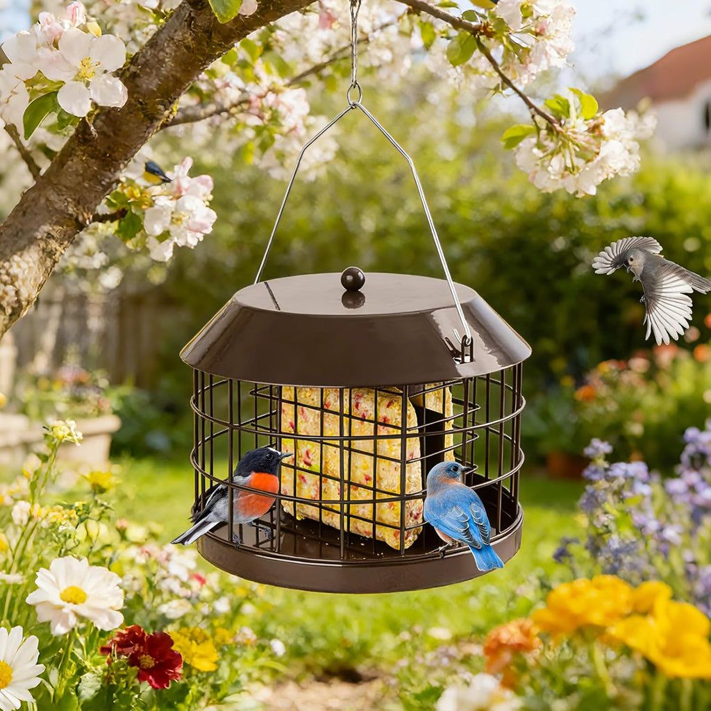 Squirrel Proof Suet Bird Feeders for Outdoors Hanging, Brown