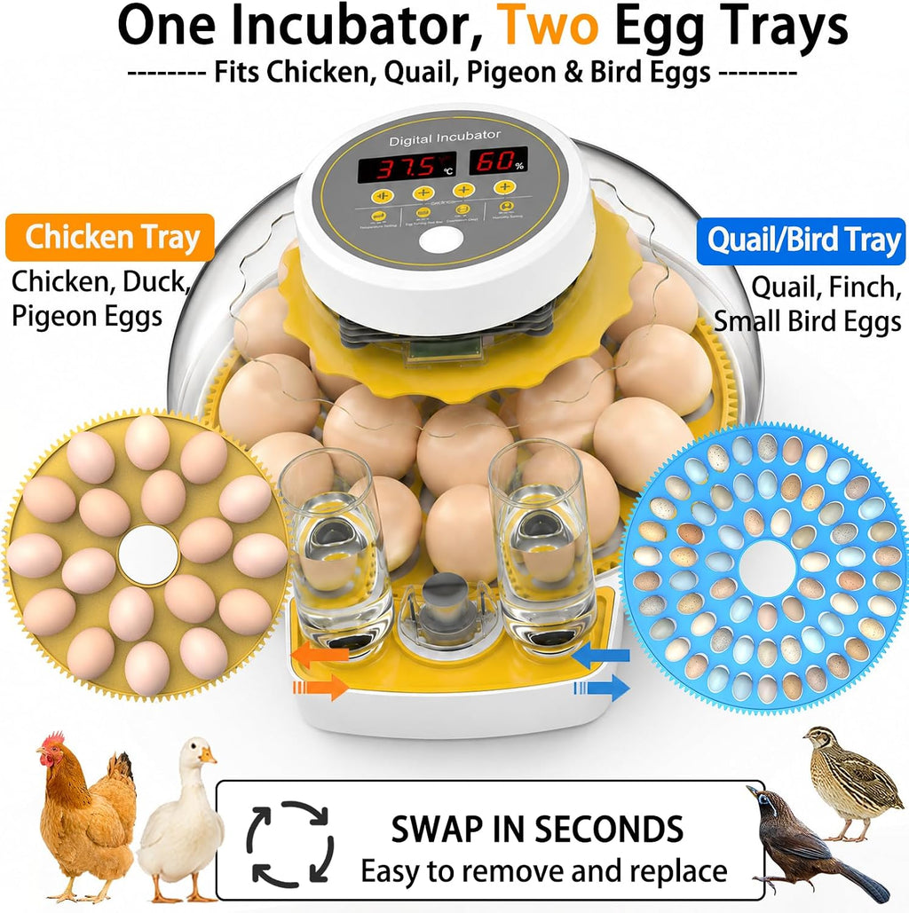 18/60 Incubator for Hatching Eggs, Egg Incubators with Humidity Display, Egg Candler, Automatic Egg Turner, Poultry