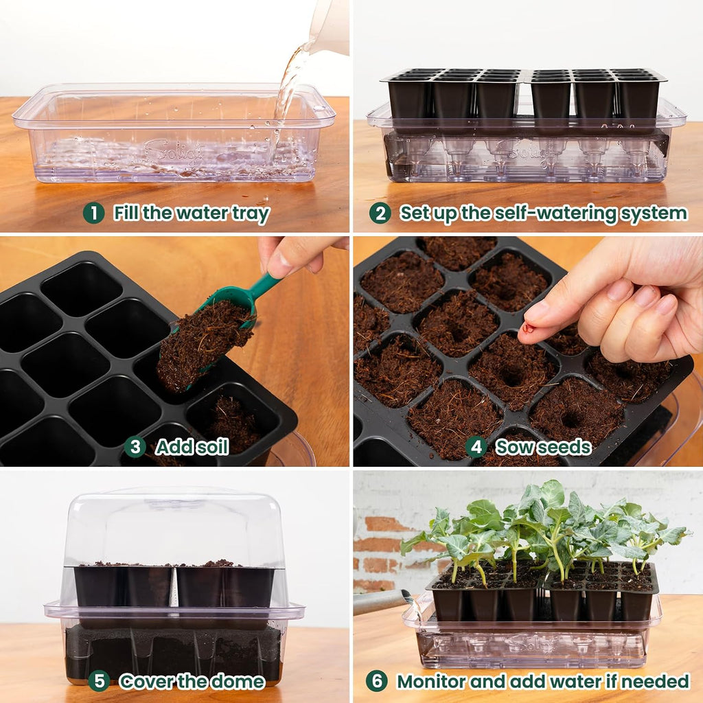 Self Watering Seed Starter Trays with Humidity Domes 3 Pack 72 Cells | Extra Thick Plastic Seed Starter kit for Seed
