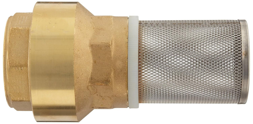 Dixon BVFS25 Brass Hose Fitting, Strainer with Spring Loaded Check Valves, 2" Size