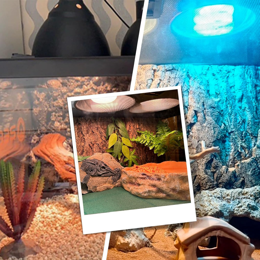 Reptile Lamp Bulb Fixture 5.5 Inch Deep Dome with Switch - Ideal for 60W/75W/100W/150W Heat Lamp Bulbs, Compatible