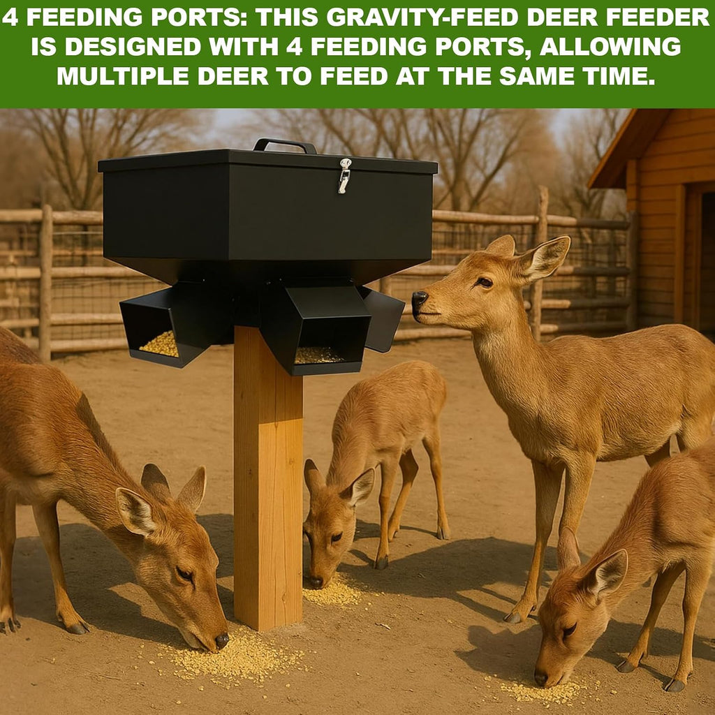 60lb Gravity Deer Feeder. Heavy Duty Deer Feeder with 4 Feed Head and Mounting Post, Galvanized Steel Metal Portable