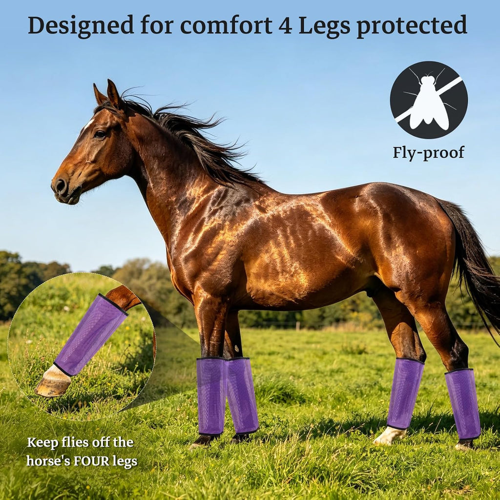 Mesh Horse Fly Boots, Purple, Set of 4