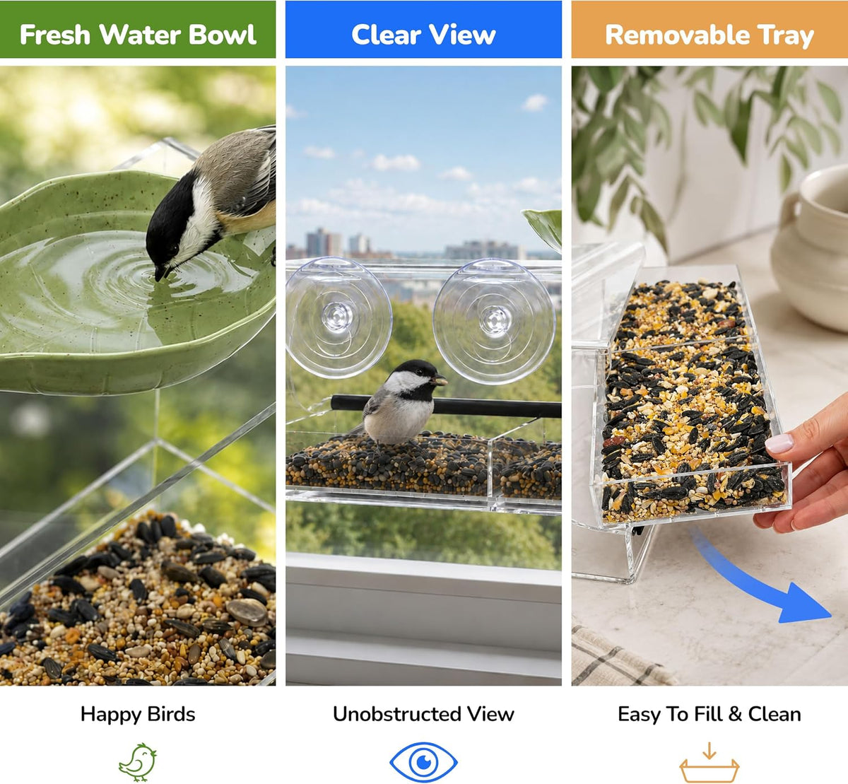 Window Bird Feeder Kit for Kids & Families – Includes 1 lb USA Made Bird Food, 24-Page Educational Bird Guide