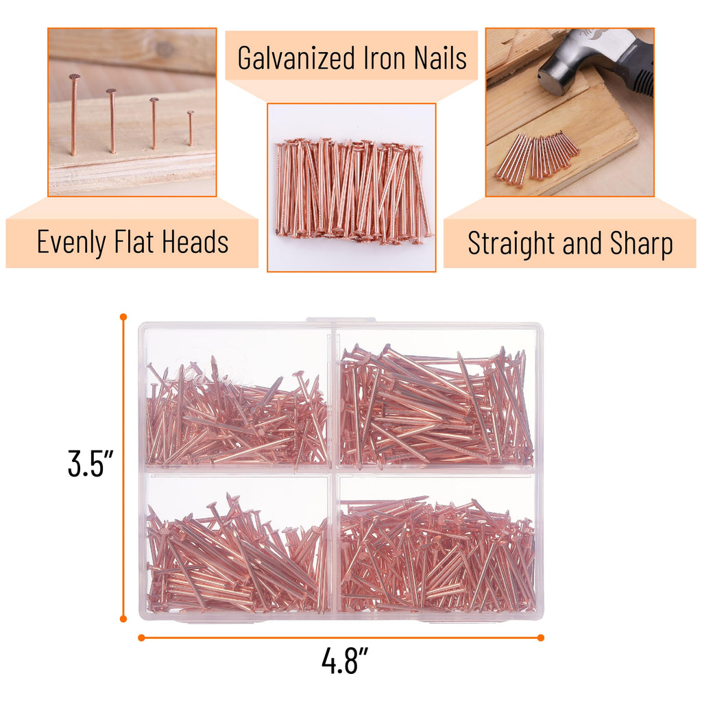 Nail Assortment Kit, 600 Pcs, 4 Sizes, Rose Gold Picture Hangers