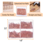 Nail Assortment Kit, 600 Pcs, 4 Sizes, Rose Gold Picture Hangers