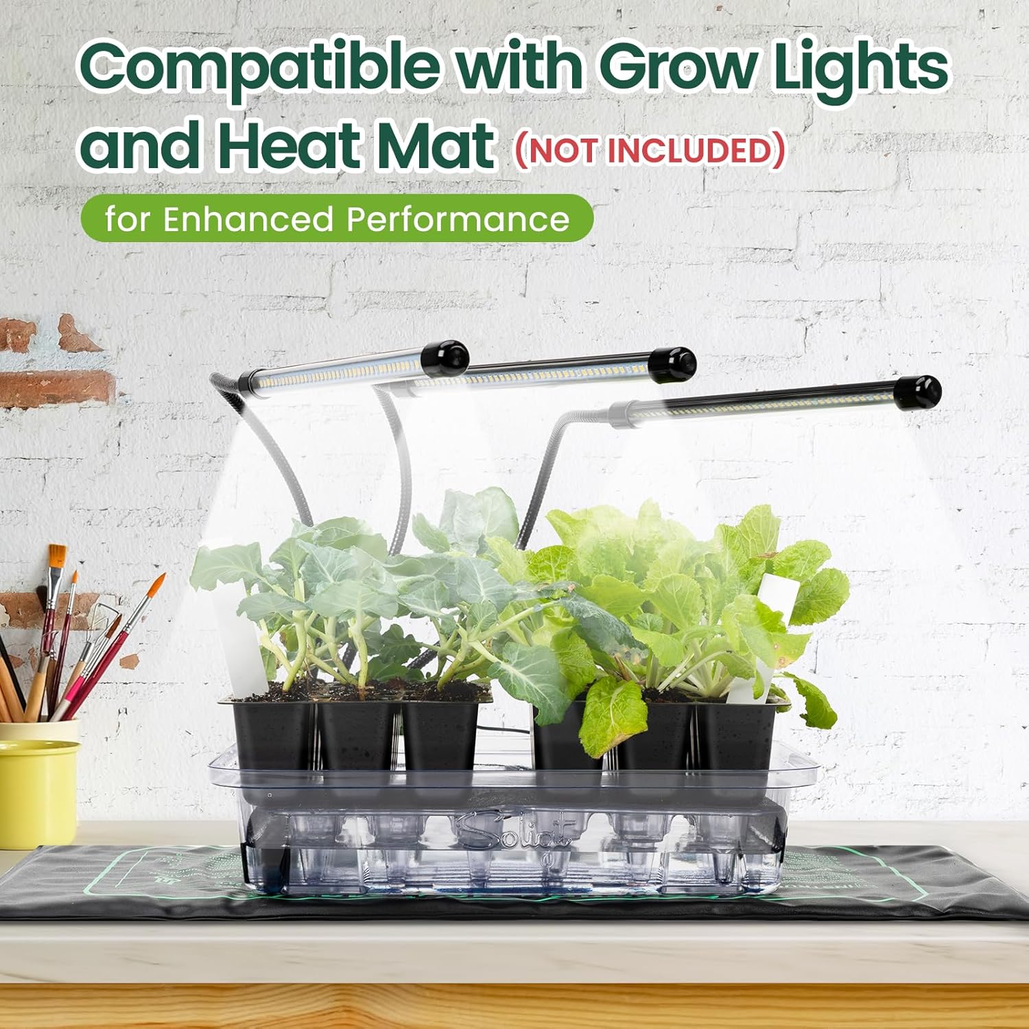 Self Watering Seed Starter Trays with Humidity Domes 3 Pack 72 Cells | Extra Thick Plastic Seed Starter kit for Seed