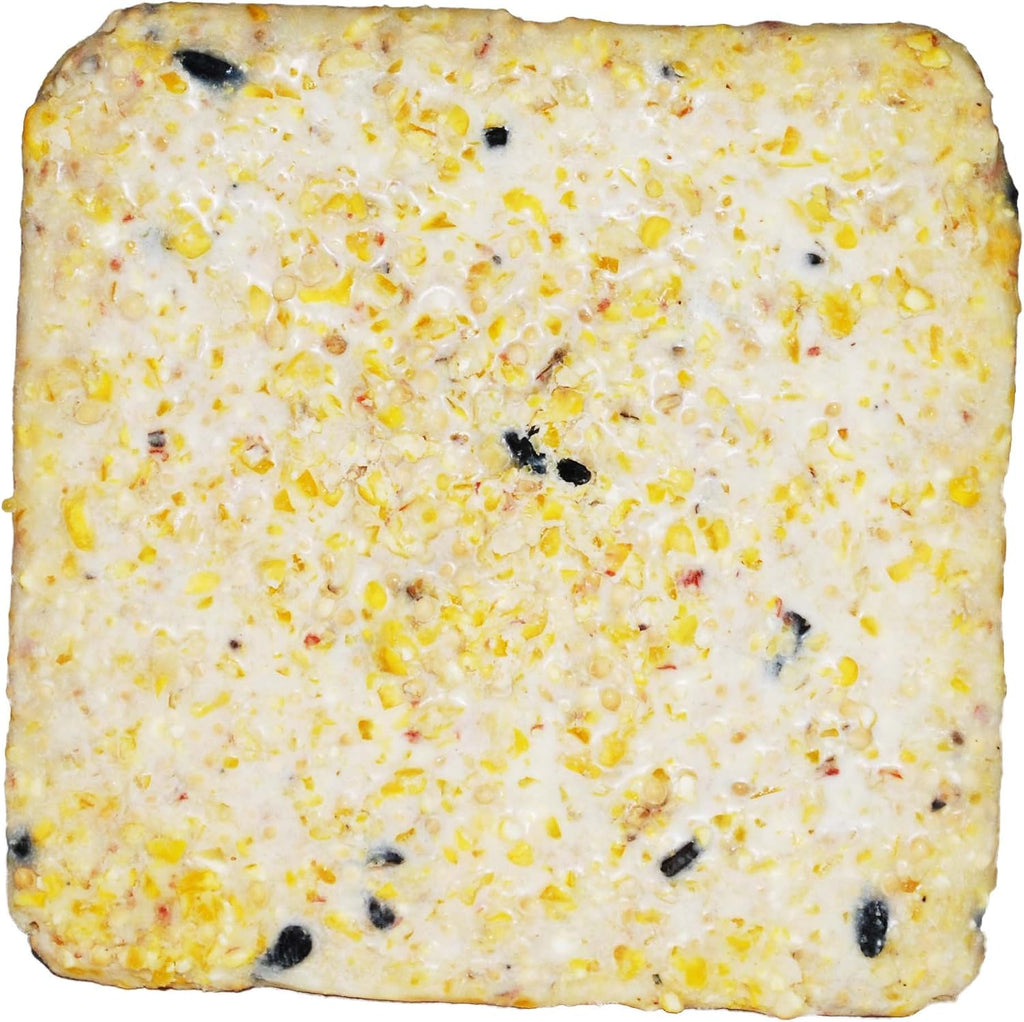 Suet Cake Variety Packs, 11 oz. Wild Bird Suet Cakes (High Energy, 10 Pack)