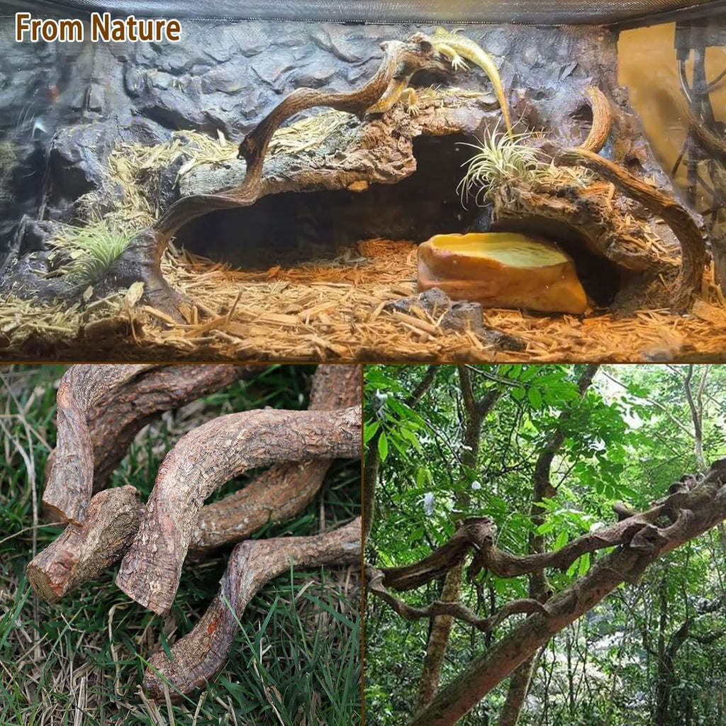 Reptile Decor 3PCS Natural Forest Branch Terrarium Habitat Decoration Lizard Climbing Tree Branch for Bearded Dragon