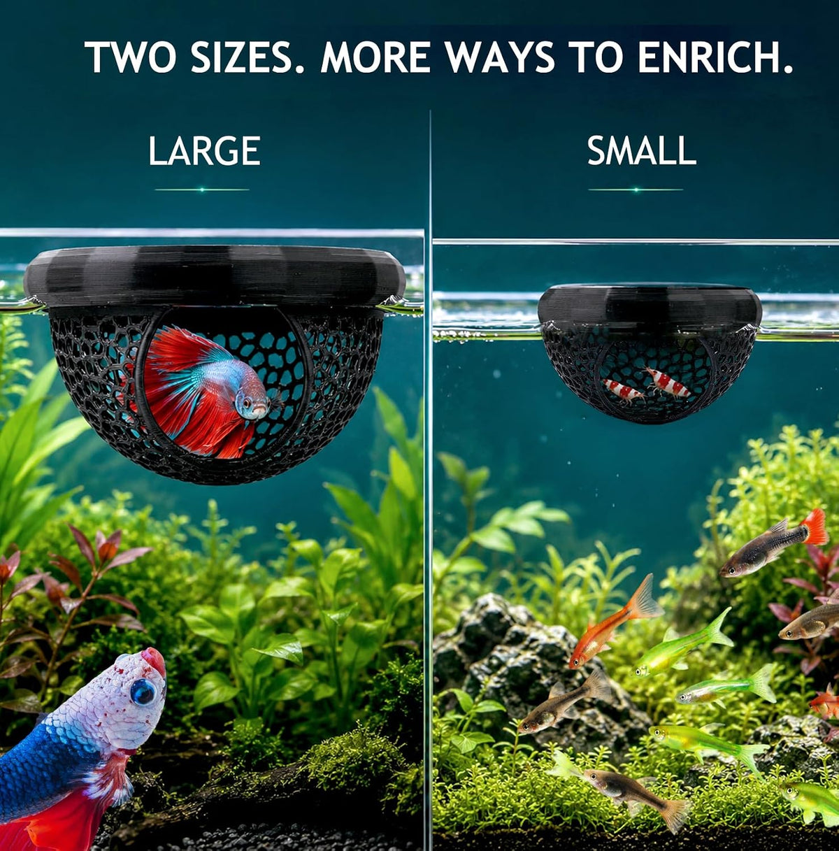 2Pcs Floating Betta Hammock & Shrimp Shelter, Beta Hide Cave and Resting Spot, Fish Feeding Rings, Safe Aquarium