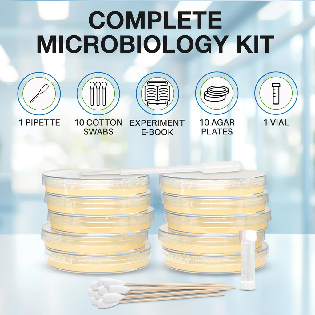 Evviva Sciences Microbiology Science Project Kit, Pre-Poured Agar Plates for Students, Agar Petri Dishes to Learn