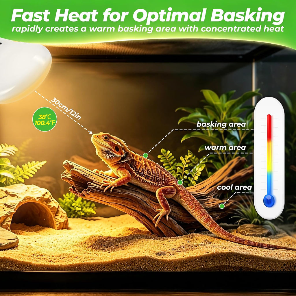 Reptile Heat Lamp Bulbs 100W, UVA Daylight Basking Bulbs 2 Pack | Fast Heating, Simulates Natural Sunlight, Ideal for