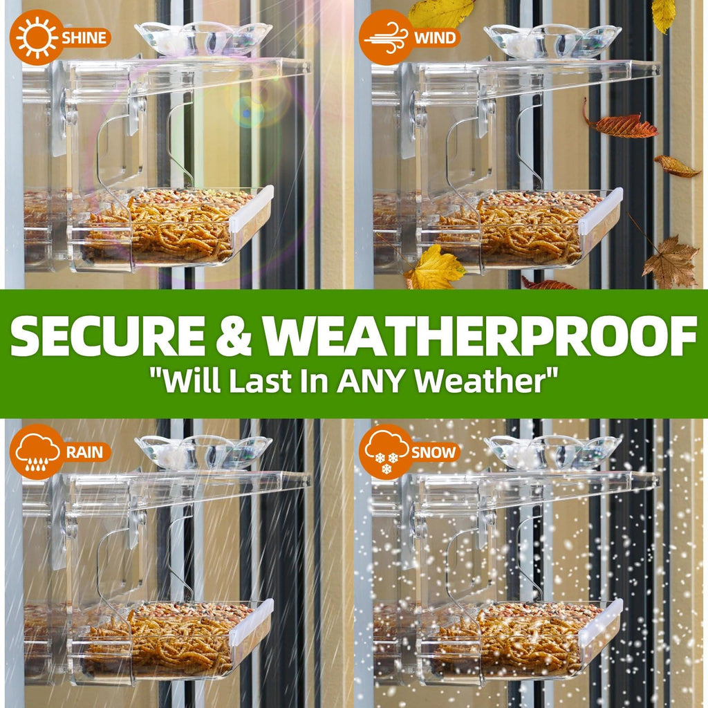 Window Bird Feeder with Non-Marking Self-Adhesive Hooks