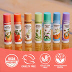 Pink Grapefruit Classic Organic Lip Balm, 4 Pack