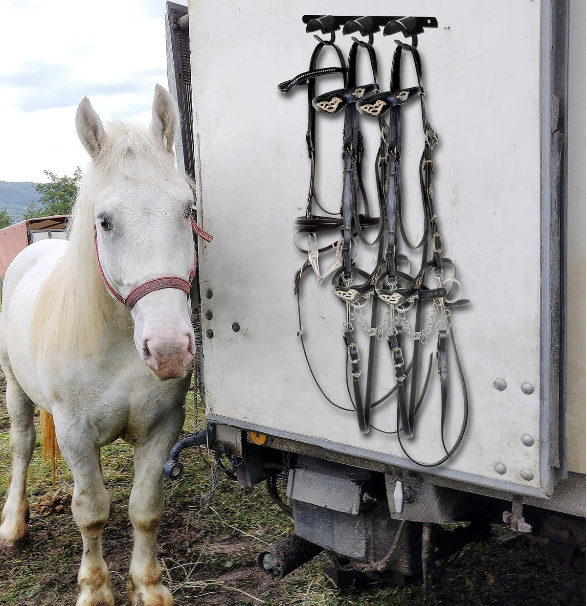 2 Pcs Bridle Rack for Horse Wall Mount, Horse Tack Bulk, Three Hooks
