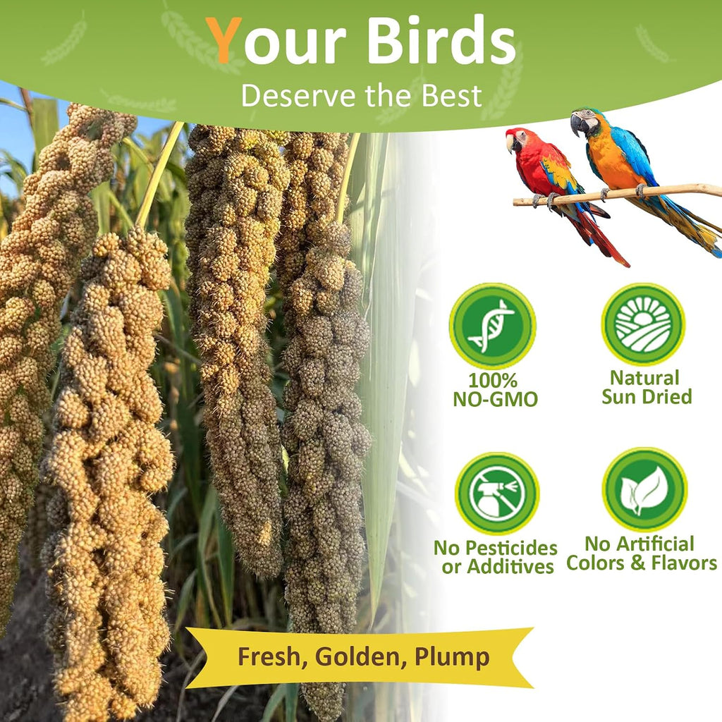 Spray Millet for Birds 5LB - All Natural Sun-Dried Healthy Treat, Millet Spray for Parakeets, Parrots, Lovebirds