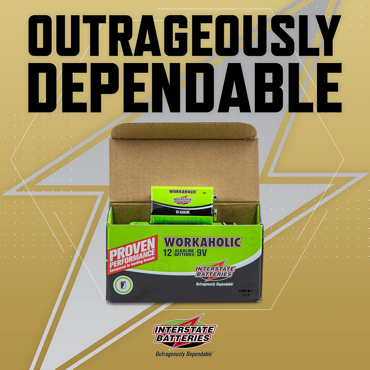 9 Volt Alkaline Batteries (12-Pack) 9V