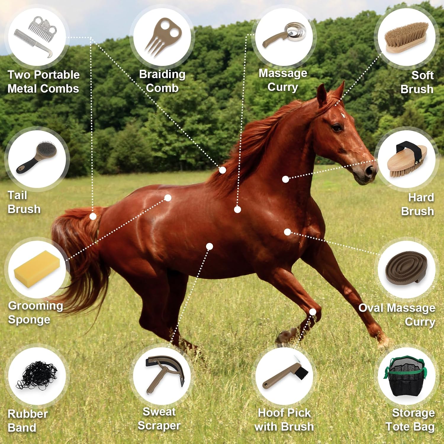 Horse Grooming Kit 14 Pieces, Horse Brushes for Grooming Supplies Set