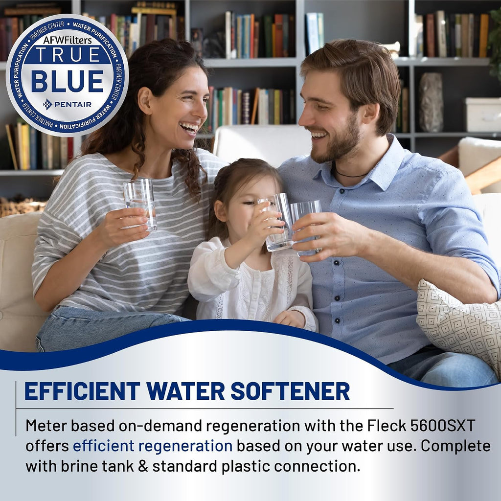 Iron Pro 2 Combination Water Softener Iron Filter Fleck 5600SXT Digital Metered Valve 64,000 Grain - High Flow for
