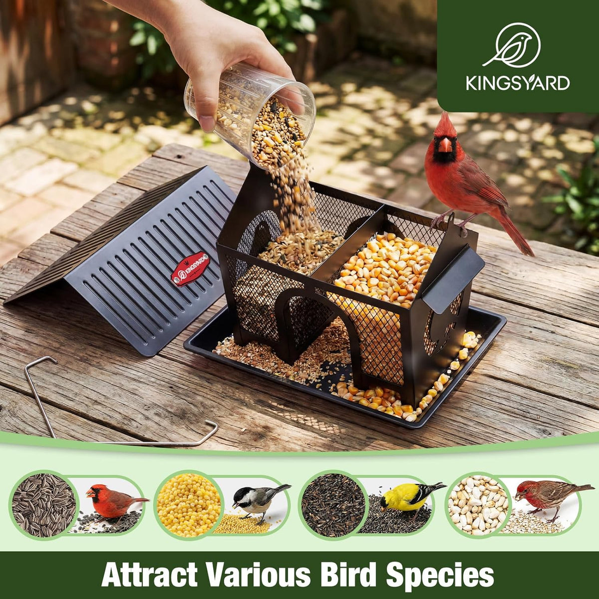 Wild Bird Feeder for Outdoors Hanging, All Metal