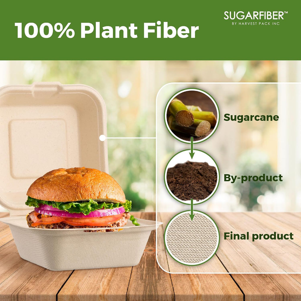 6X6 inch Compostable Nature Square Clamshell Take Out Food Containers togo