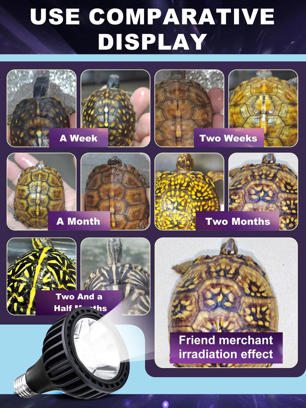 LED UVB Light for Reptiles, 10 Watts, 5.0 UVB