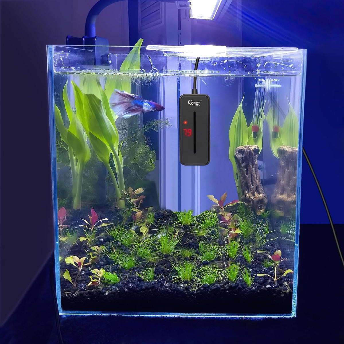 Small Submersible Aquarium Heater 100W Mini Betta Fish Tank Heater with LED Display Adjustable Temperature for 10-20