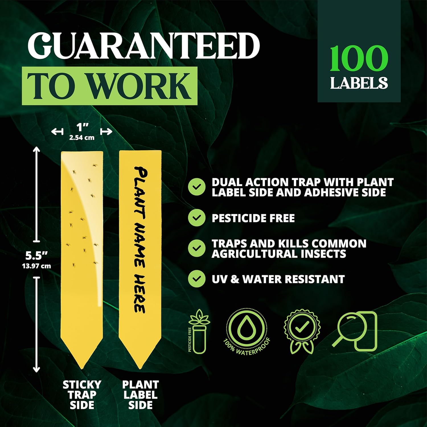 Dual Action Plant Labels 100 PK, Sticky Insect Trap Plant Stakes