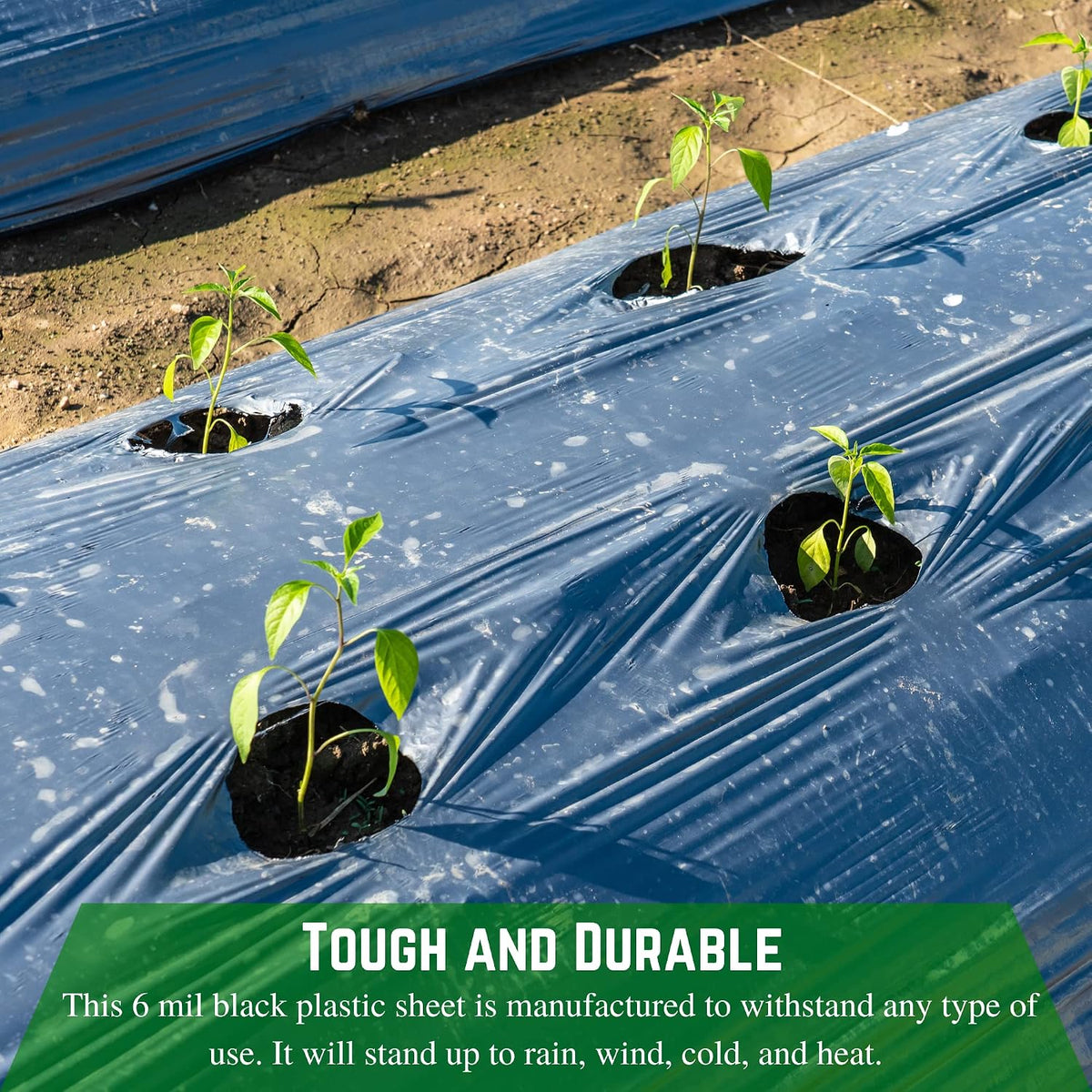 Black Plastic Sheeting - 6 mil - (14' x 100') - Black Tarp, Polyethylene Vapor Barrier Sheeting, Painters Tarp, Roll