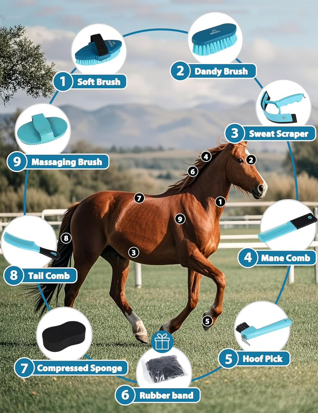 8-piece Horse Grooming Kit, Complete Horse Brush Set