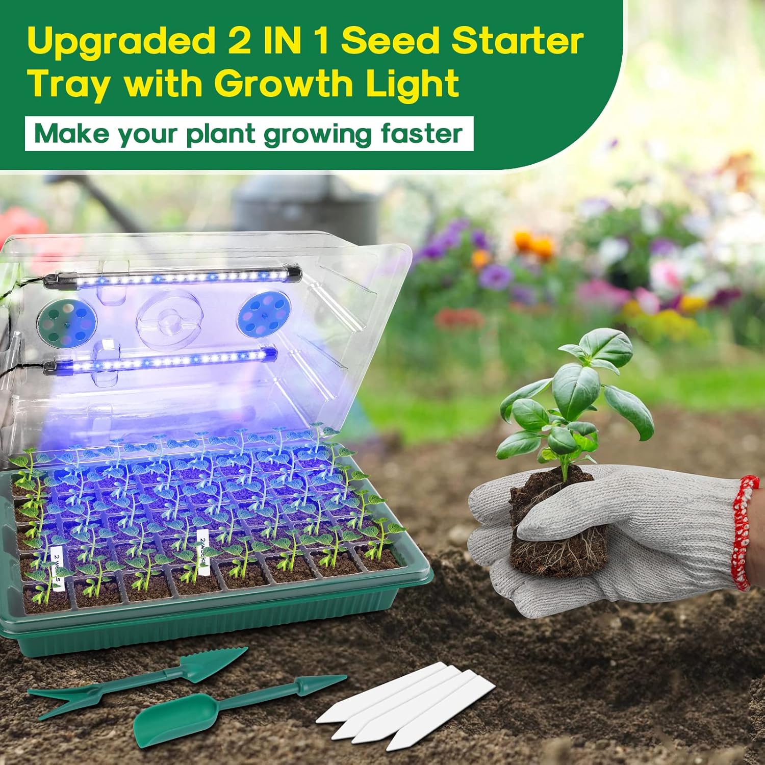 Seed Starter Tray with Grow Light,2 Pack 80 Cells Seedling Tray Kit with Humidity Dome/Indoor Plant Starter Kit