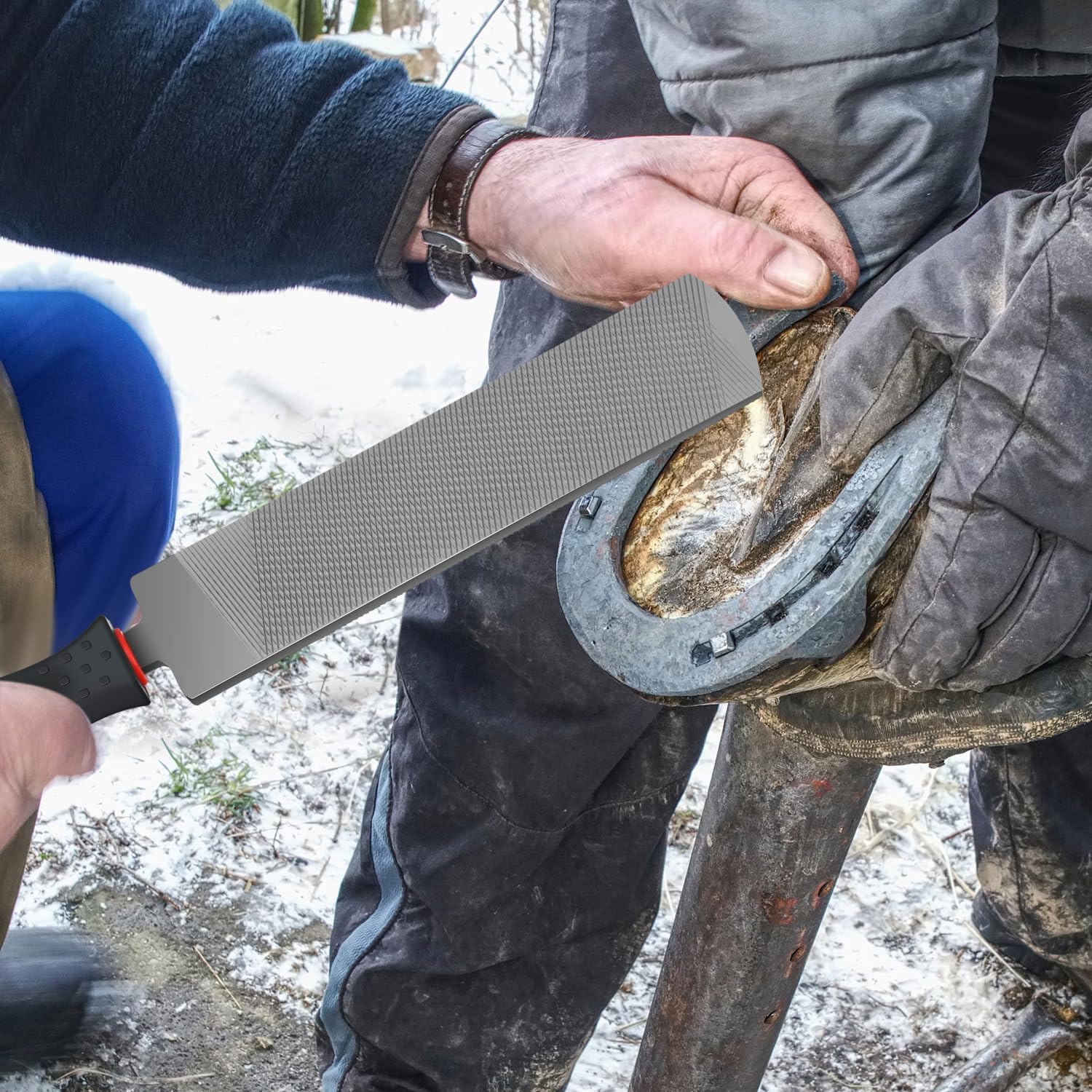 2 Pcs 12 Inch Rasps for Shoeing Horses with Handle Trimming File Carbon Steel Farrier Tools for Repair Horse Goat
