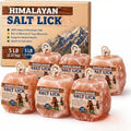 6 Premium Himalayan Pink Salt Lick Blocks with 36 Inch Hanging Rope for Deer, Horses, Cattle, Goats, Sheep &
