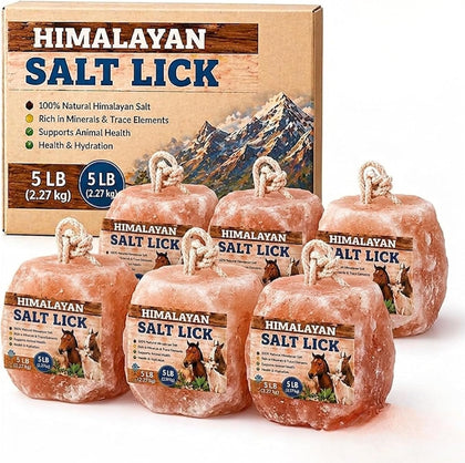 6 Premium Himalayan Pink Salt Lick Blocks with 36 Inch Hanging Rope for Deer, Horses, Cattle, Goats, Sheep &