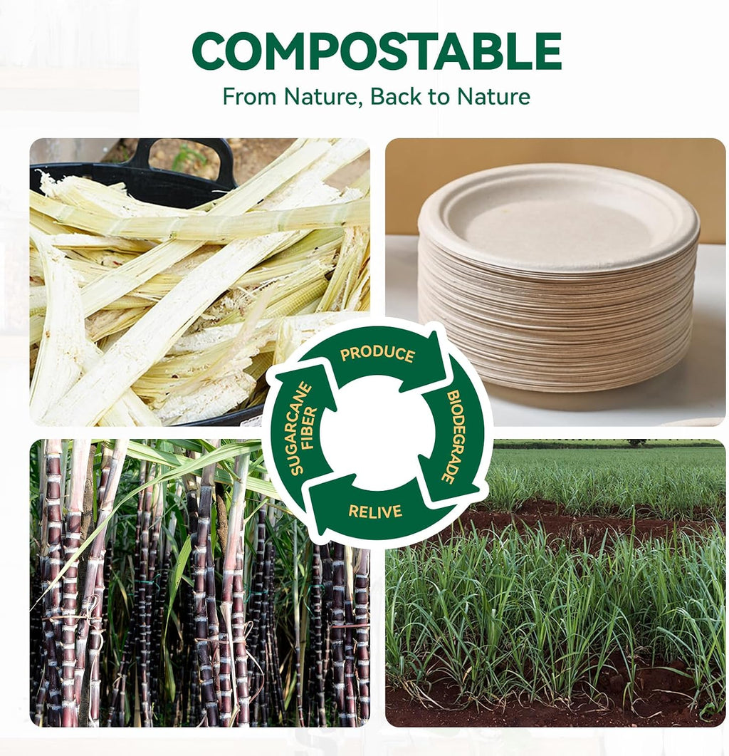 Small Dessert Paper Plates 6 Inch 200 Pack Compostable Nature