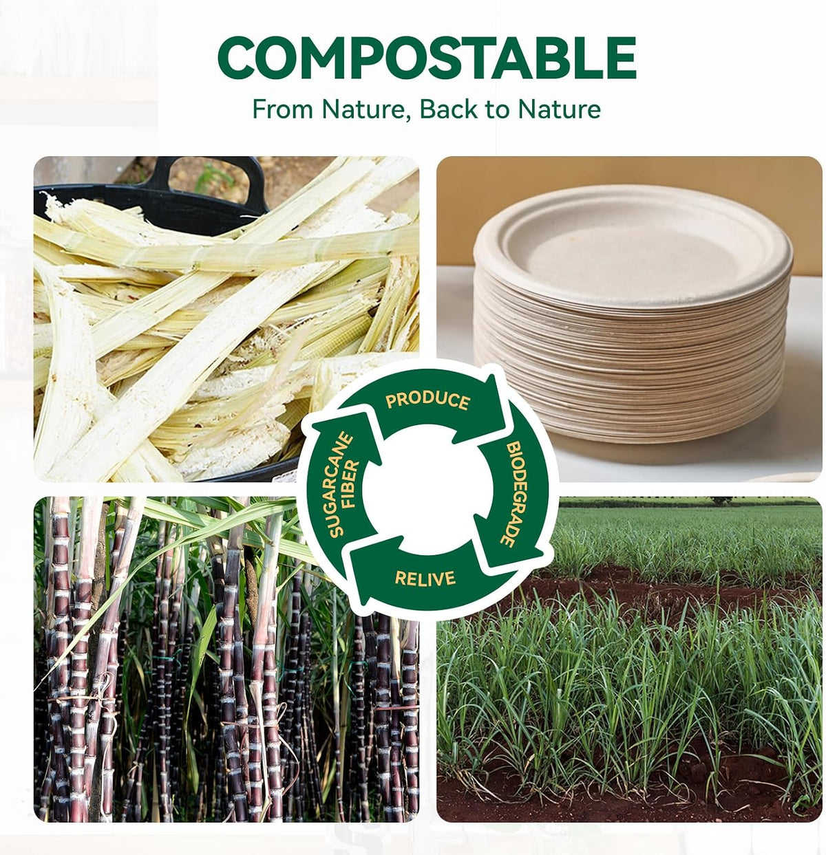 Small Dessert Paper Plates 6 Inch 200 Pack Compostable Nature