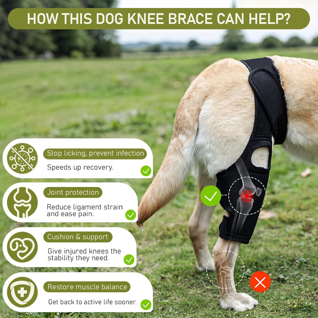 Dog Knee Braces for Back Leg, Adjustable Torn ACL Brace for Dogs