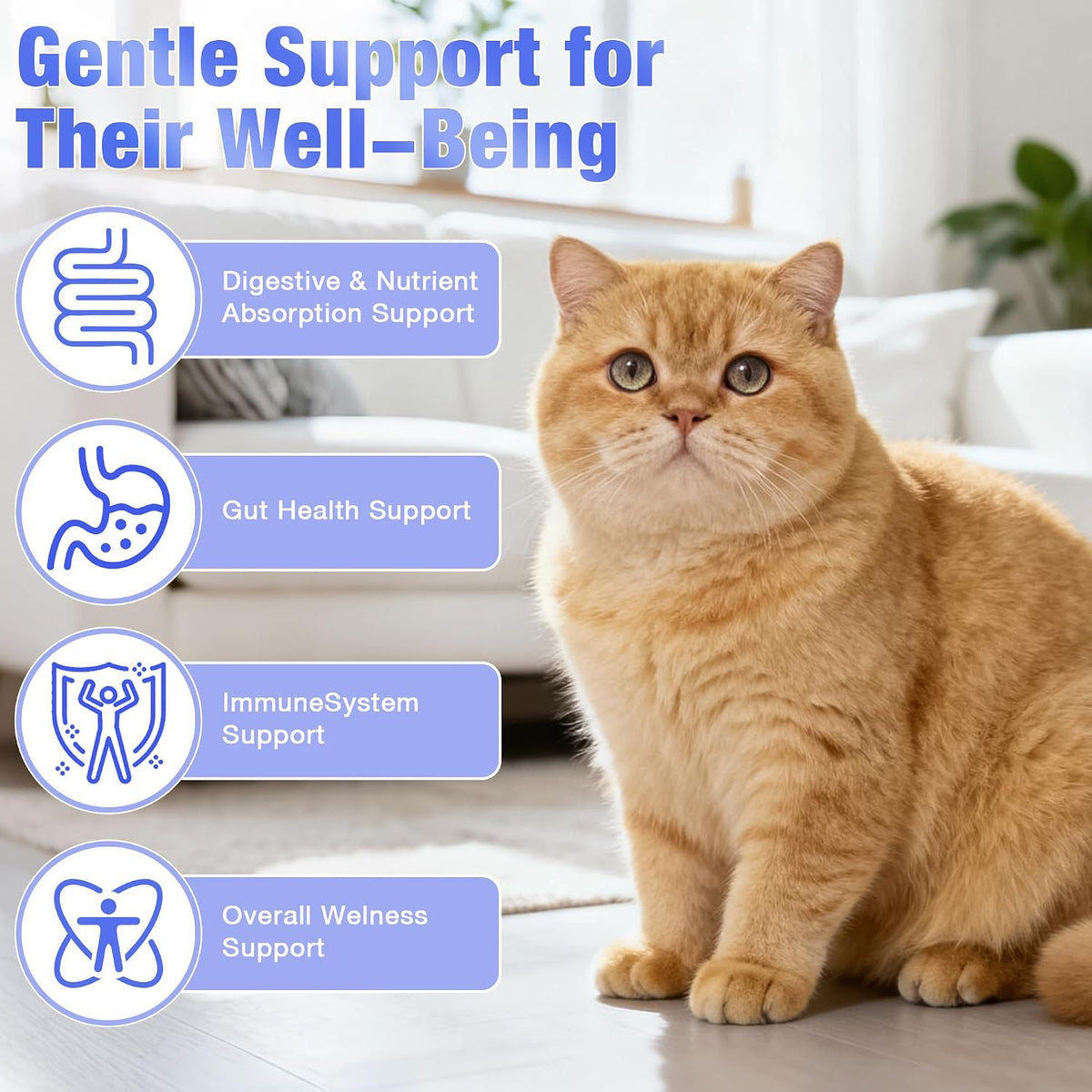 Cat Probiotics for Digestive Support