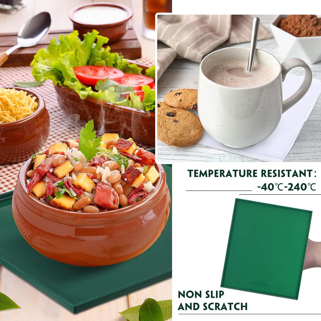 8 Pcs Silicone Dehydrator Sheets Trays with Edge and 10 Pcs Mesh Dehydrator Mats Non Stick Reusable Fruit Leather