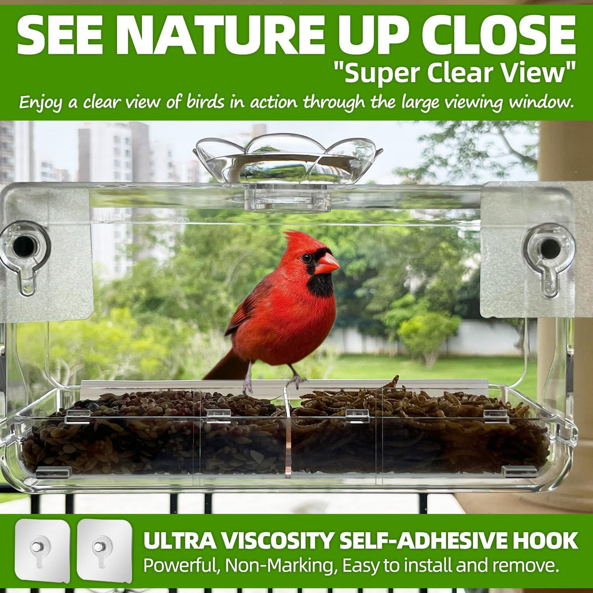 Window Bird Feeder with Non-Marking Self-Adhesive Hooks