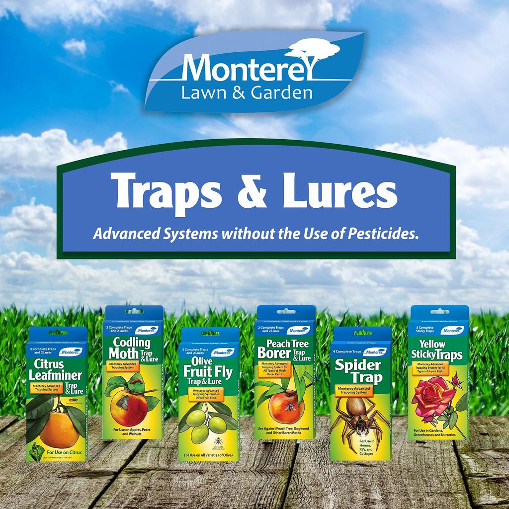 Yellow Sticky Insect Traps for All Insects, 5 Per Pack