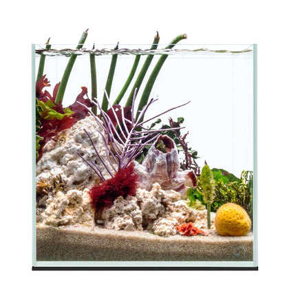 UNS Ultra Clear Rimless Tank - 7.1GAL | 27L - 11.81x11.81x11.81 | 30x30x30 CM, 5mm Glass Thickness, Leveling Mat