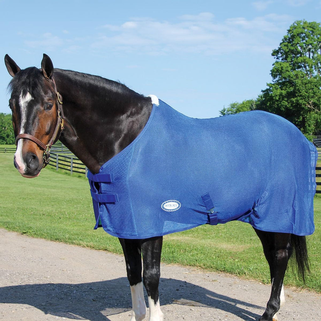 Lightweight Fly Sheet Scrim, Blue, Large 78-80"