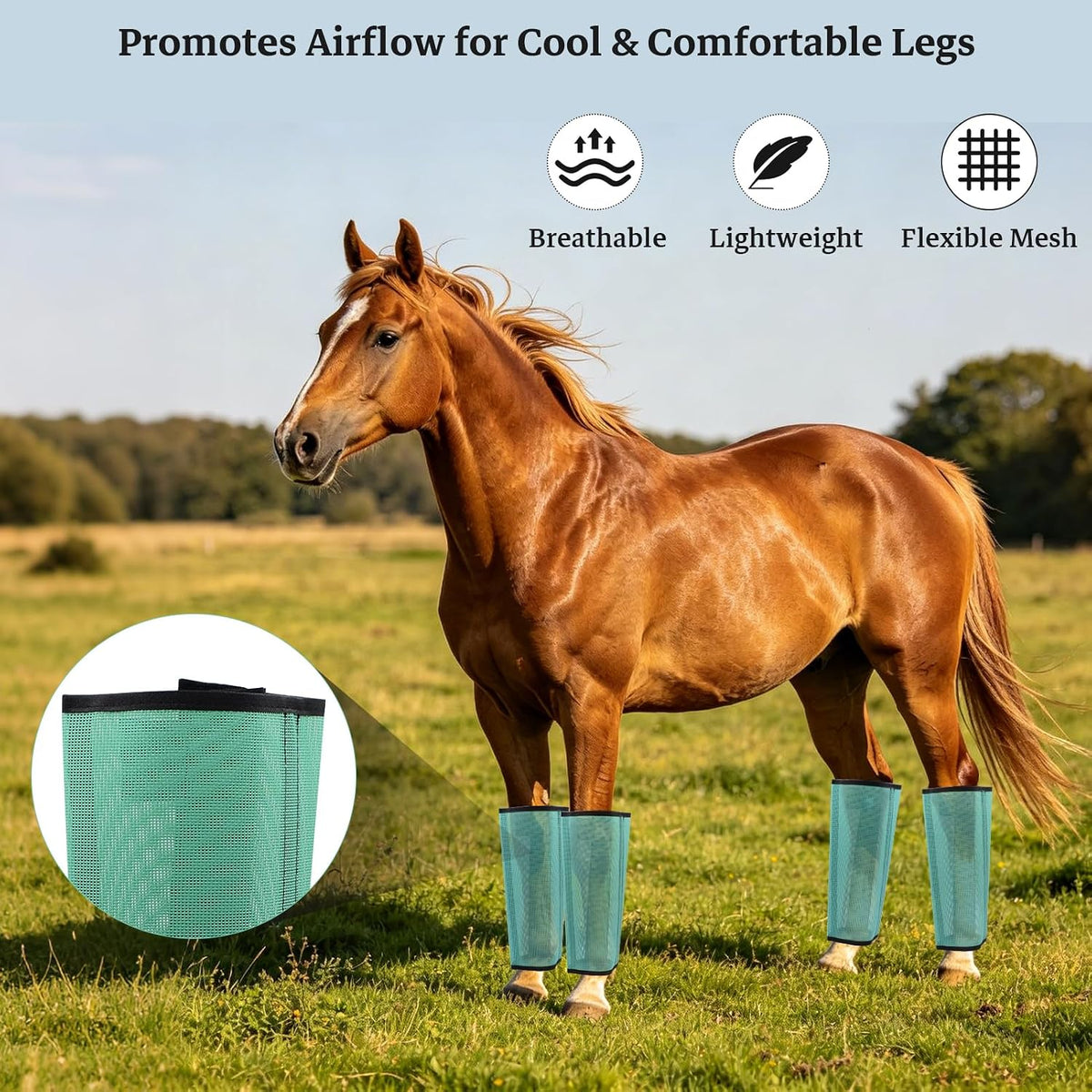 Mesh Horse Fly Boots, Green, Set of 4