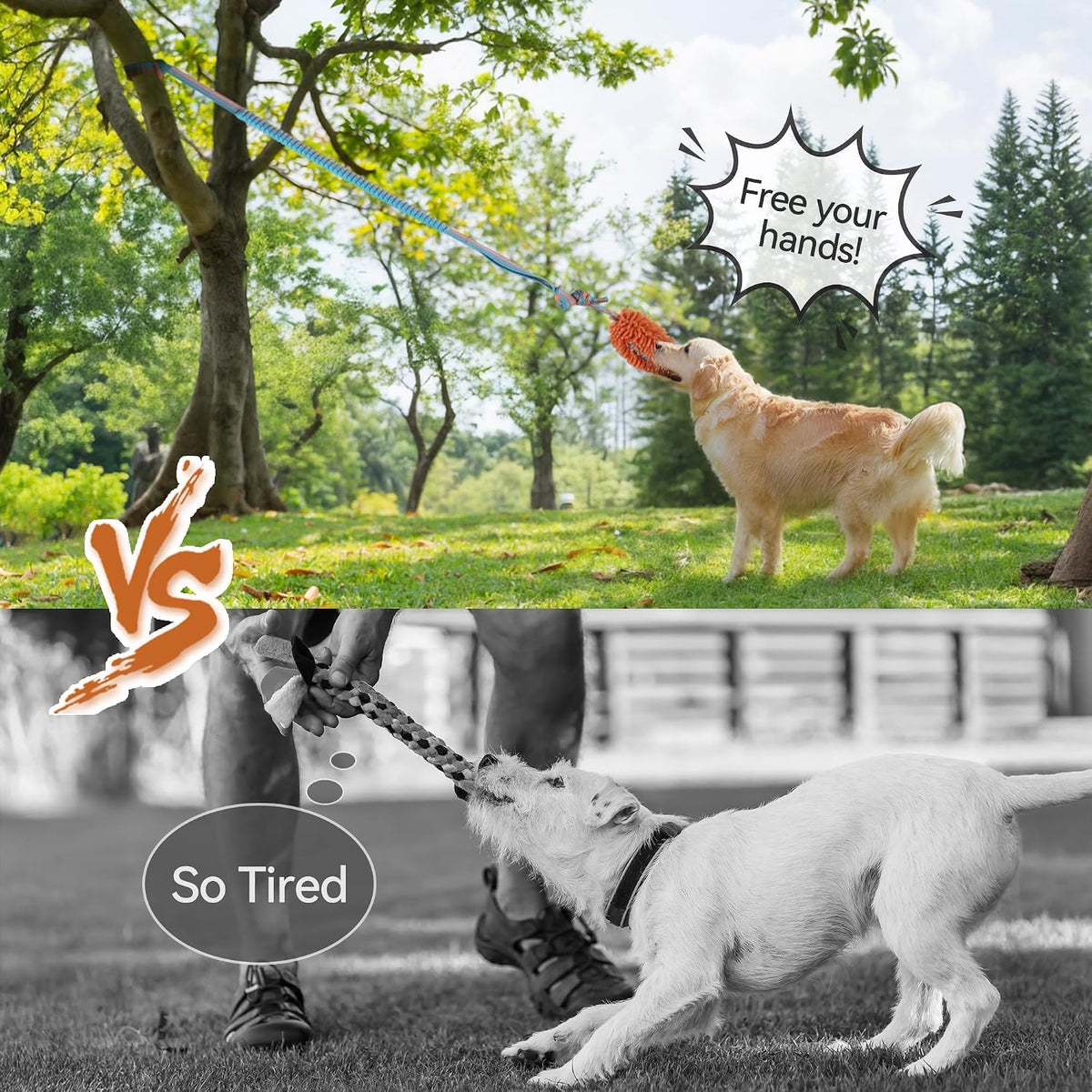 Dog Bungee Tug Toy, Outdoor Hanging Bungee from Tree for Chase & Tug Fun, Interactive Tug-of-War Toy for Small and